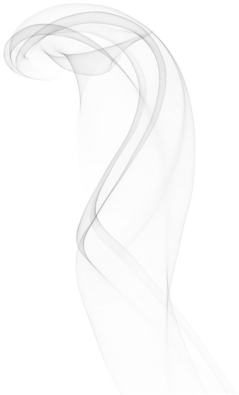 shape